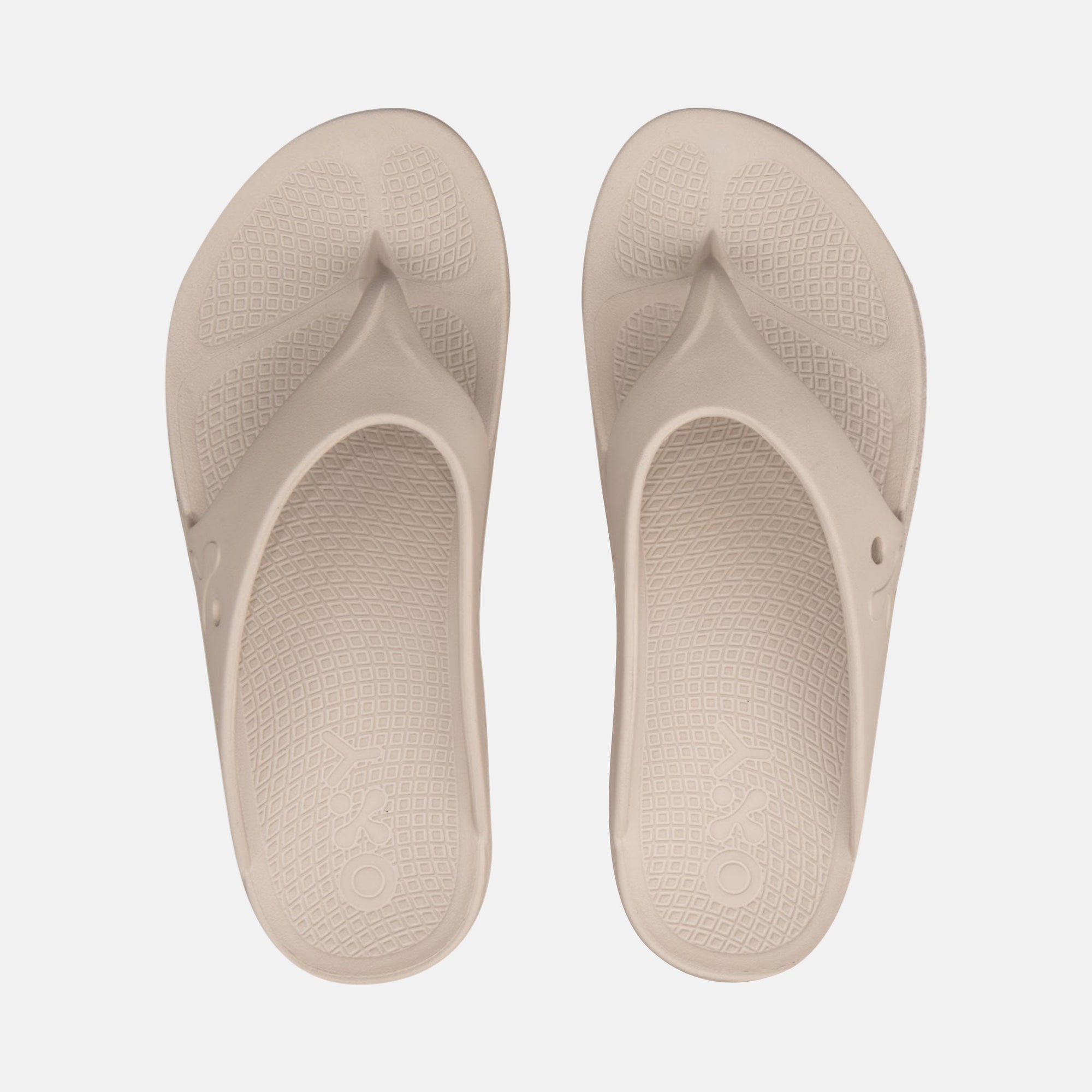 Men's slippers Explorer in shade