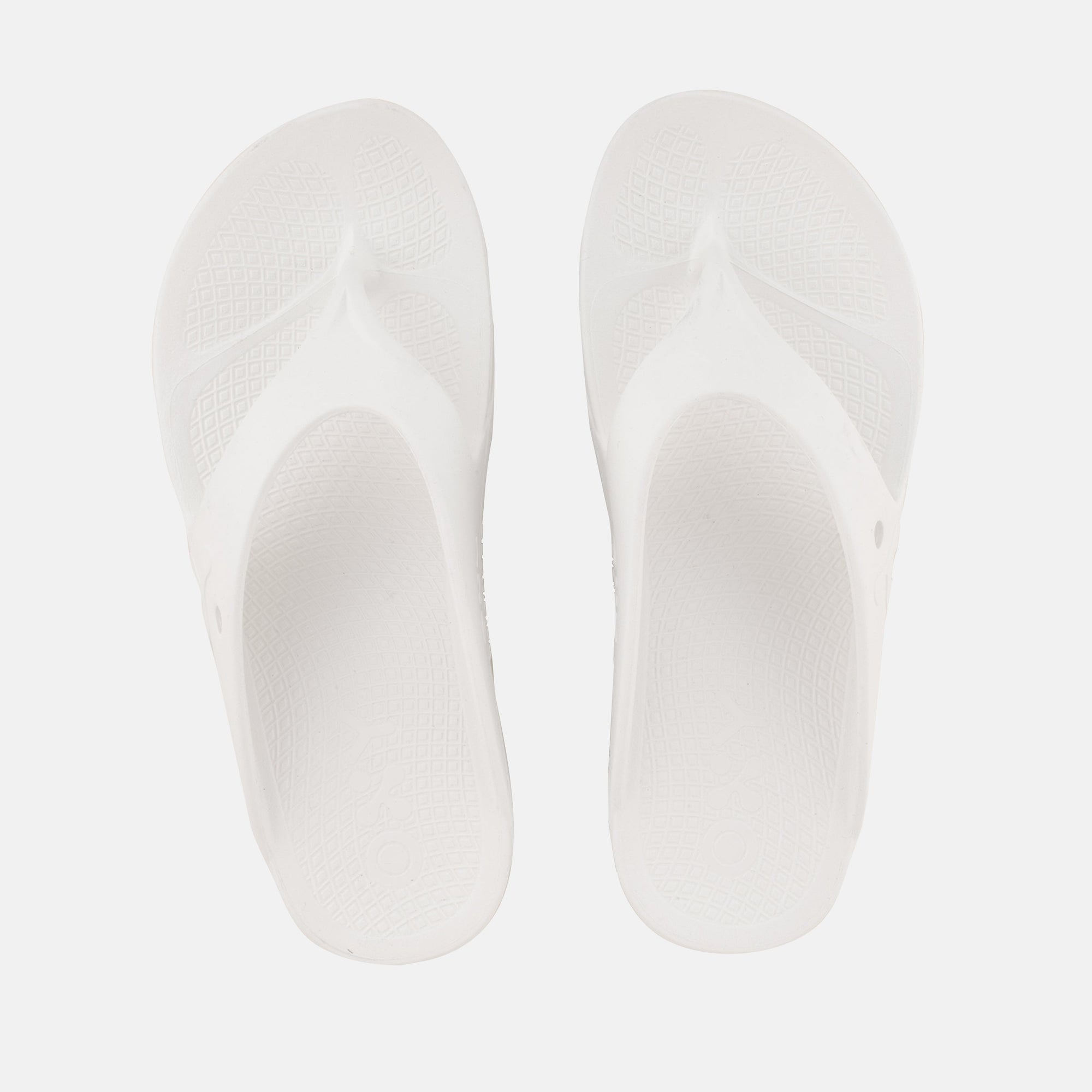 Men's slippers Explorer in cotton